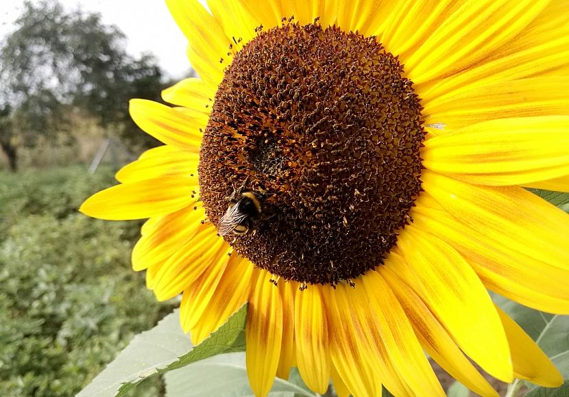 Wetterdienst bilanziert Sommer mit Hitzewellen und nassem Juli