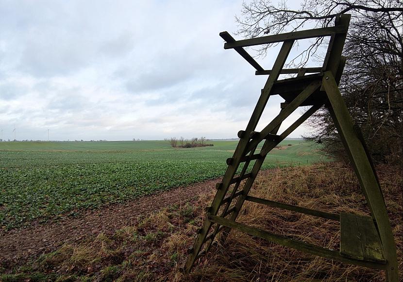 Jagdverband fordert mehr Einsatz gegen illegale Waffen