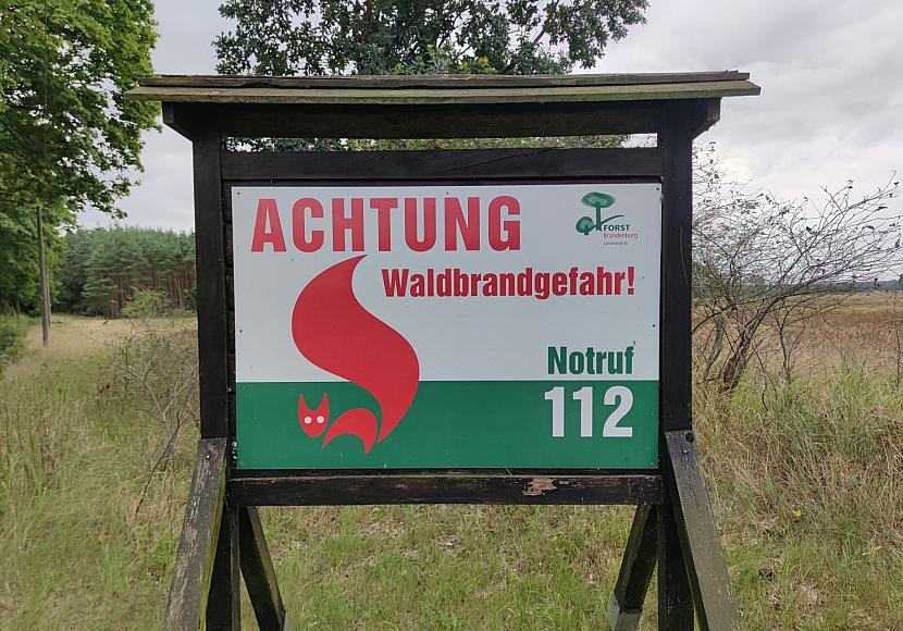 DIW: 2026 doppelt so viel Fläche verbrannt wie im Zehnjahresschnitt